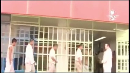 Reclusorio Amarillo Castillos greiscol de banda francesa y gallineros