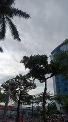 HANOI ON 80 YEARS OF  INDEPENDENT