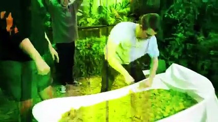 Would You Sit In Snakes For $10,000.