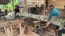 Sawing Coconut Trees into 10x10 Wood with a Sawmill