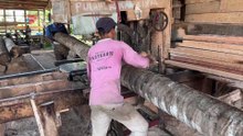 Sawing coconut wood into 2x20 with the latest sawmill machine