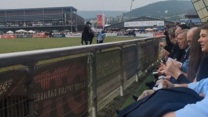 Man falls and gets dragged by stallion during Royal Welsh show