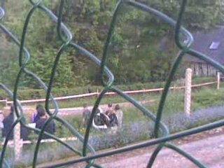 rally de dieppe 2