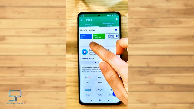 ✅💰Controla tus GASTOS con Wallet 📊 [Gestión de GASTOS e INGRESOS]