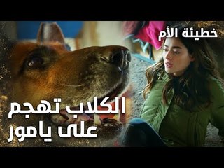 الكلاب تهجم على يامور - الحلقة 5 - خطيئة الأم  - Bir Annenin Günahı - مدبلج