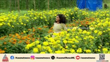 ഓണമുണ്ണാൻ നല്ല ജൈവ പച്ചക്കറികൾ റെഡി...ഇത് കഞ്ഞിക്കുഴി എന്ന 'കേരള ബ്രാൻഡ്'