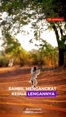 Sifaka, Primata Unik yang Hanya Ada di Madagaskar