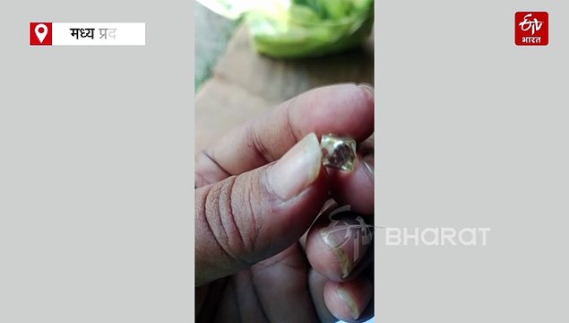 पन्ना में किसानों के चेहरे पर दिखी हीरे की चमक, बेशकीमती डायमंड ने खोली किस्मत, पूरे होंगे सपने