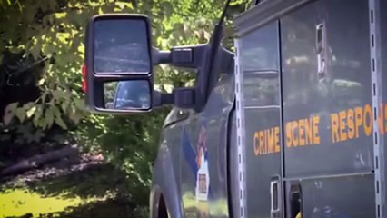 8 Creepiest Things Ever Found in Forests