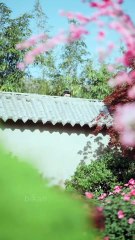 By Touching A Magic Plant, A Poor Girl Gains The Midas Touch For Revenge On Her Greedy Family (2025) - FULL HD [Eng Sub]