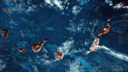 Chinijo. Las Islas de los Pájaros - Teaser español