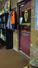 Kangaroo diaries only in Australia 🇦🇺