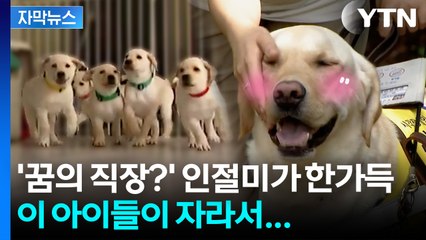 [자막뉴스] 故이건희 회장이 남긴 유산... 시각장애인의 '빛' / YTN