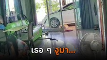 ระทึก งูเลื้อยเข้าบ้านไม่รู้ตัว หันมาเจออีกทีใจแทบวาย