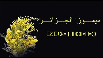 Théâtre - Mimosas d'Algérie (2002)