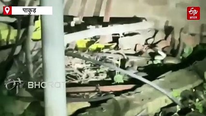 पाकुड़: आपस में लिपटे मिले 6 फीट से अधिक लंबे नाग, दहशत में ग्रामीण