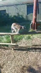 You have a good time discovering funny news