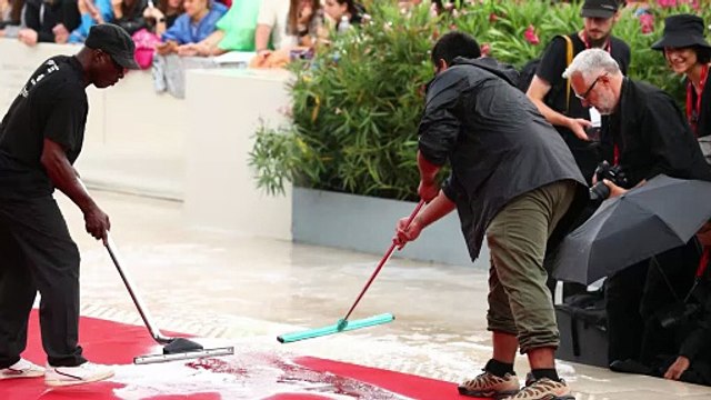 Schiuma e spazzoloni: il red carpet di Venezia 2025 si rifà il look dopo il passaggio di Julia Roberts