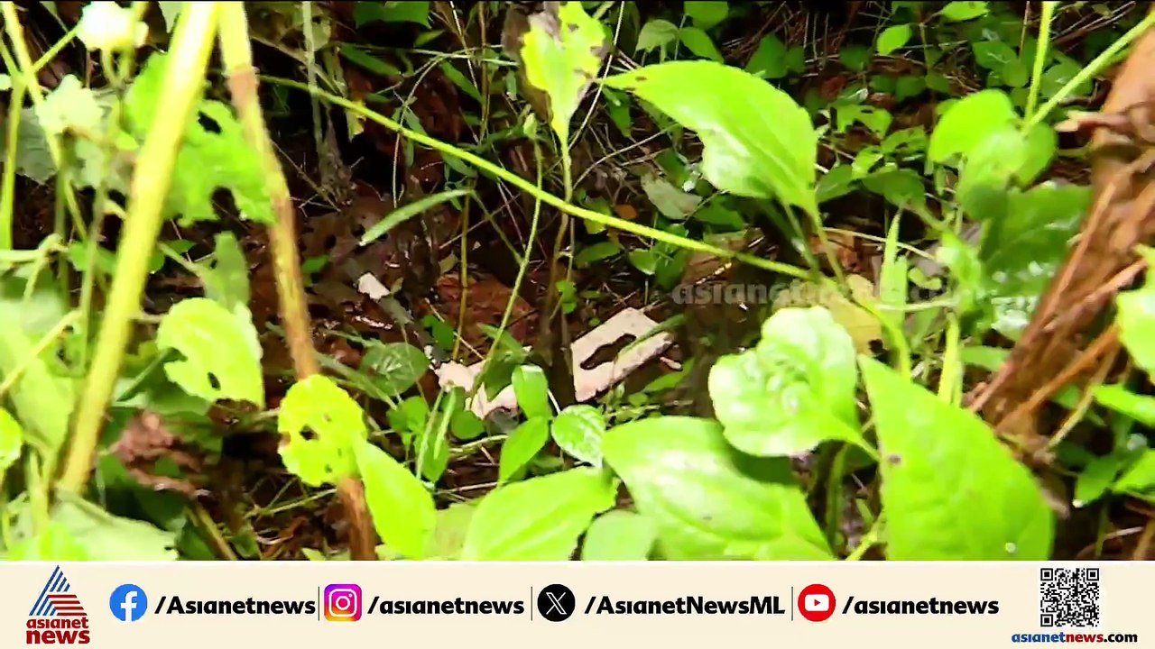 കീഴറ ഗ്രാമത്തെ നടുക്കി സ്ഫോടനം; ഒരു മരണം ; വീട്...
