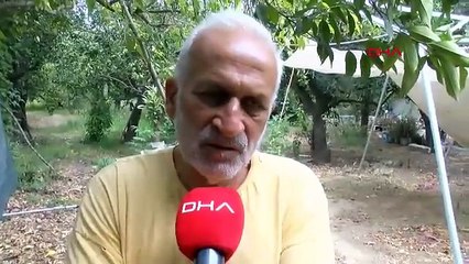 Türkiye'nin gizemli güzelleri sahillere geri döndü; görenler gözlerini üzerlerinden alamıyor