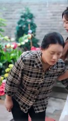 Swindlers Go Bankrupt | Drama with English Subs