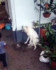 In a world where you can be anything, be kind…🙏❤️