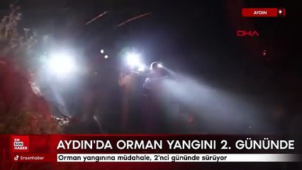 Aydın'da orman yangını 2'nci gününde