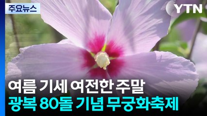 여름 기세 여전한 주말...광복 80돌 기념 무궁화축제 열려 / YTN