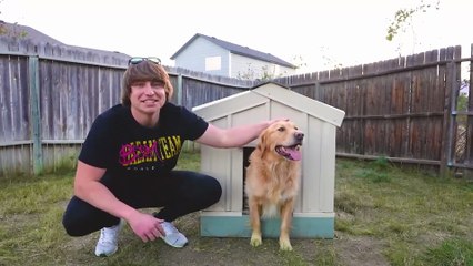 I BUILT A _25_000 DREAM DOG HOUSE | Mr beast |