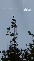 Deux tornades filmées dans le Centre-Val de Loire