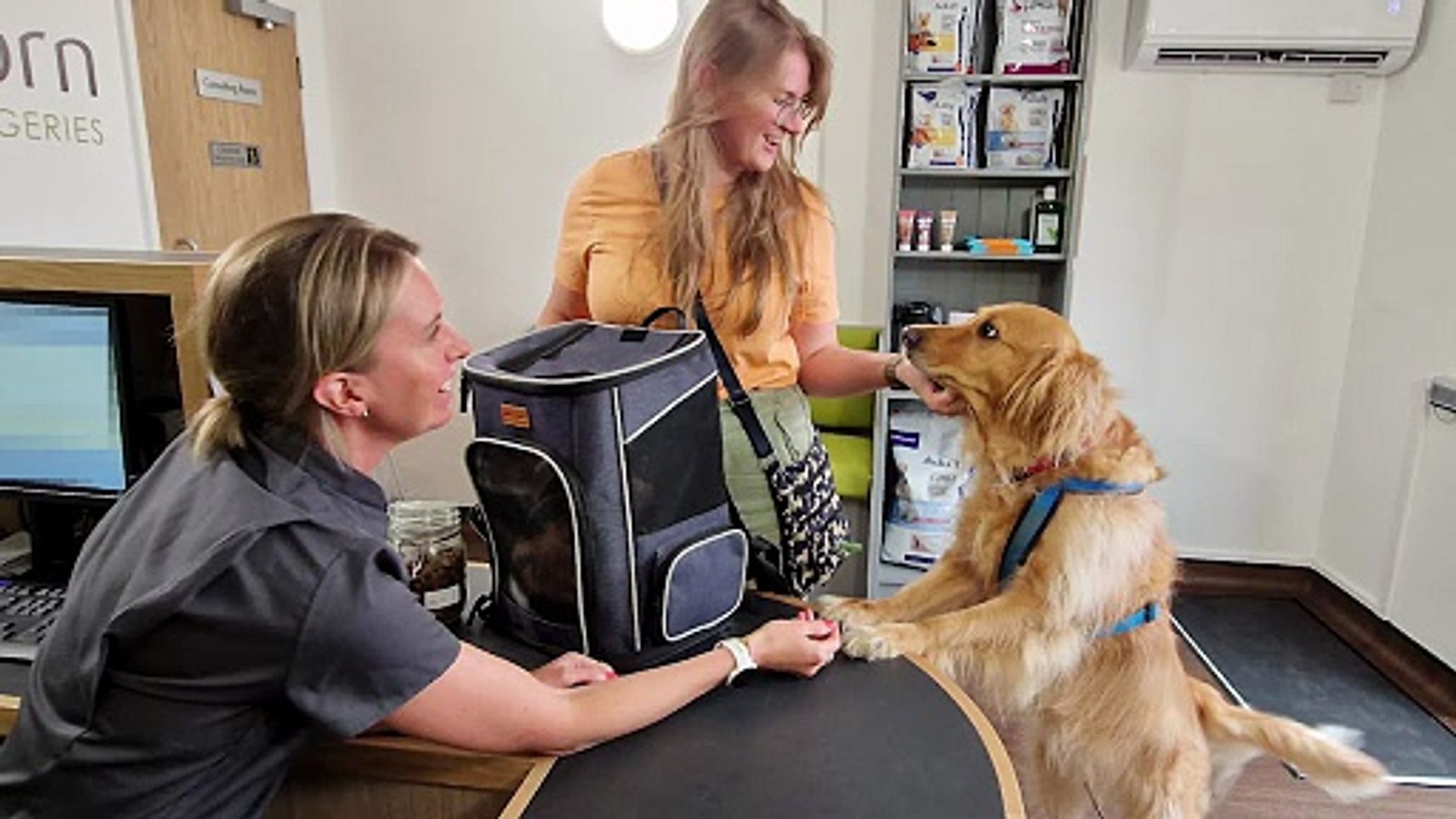⁣Hawthorn veterinary surgery