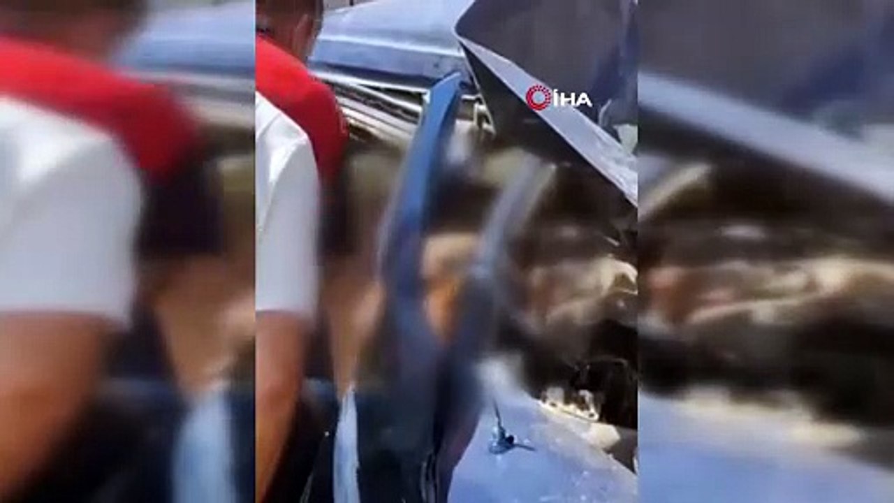 Hakkari-Van karayolunda kaza: 4 ölü, 2 yaralı