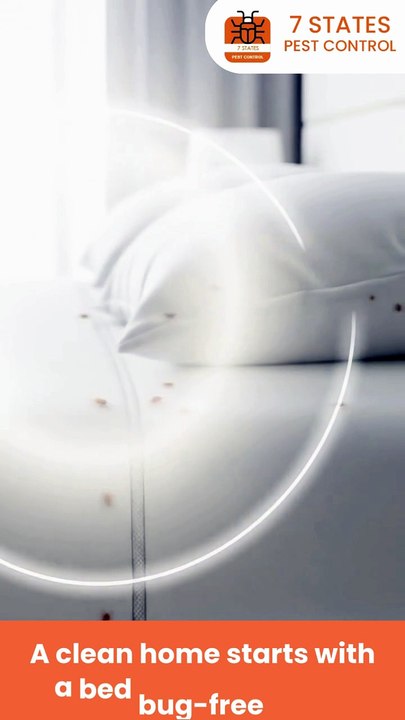 Effective Spider Control in Melbourne – Safe & Reliable Treatments