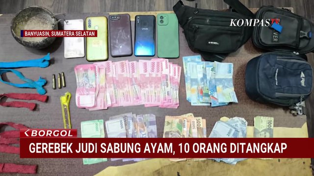 Judi Sabung Ayam di Banyuasin Digerebek Polisi, 10 Orang Ditangkap | BORGOL
