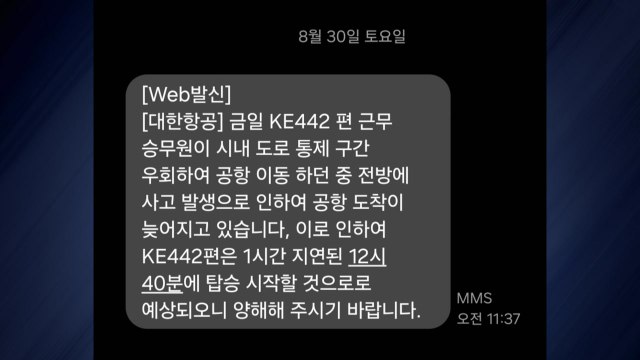 대한항공 비행기가 또...승무원 지각으로 지연 / YTN