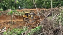 Techniques for Strengthening Plantation Roads Using D6R XL Bulldozers