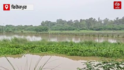 ਪੰਜਾਬ ’ਚ 37 ਸਾਲਾਂ ਬਾਅਦ ਆਇਆ ਅਜਿਹਾ ਹੜ੍ਹ, ਸਰਹੱਦ ’ਤੇ ਦੁਸ਼ਮਣ ਬਣਿਆ ਪਾਣੀ