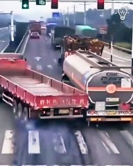 Discovering engineering!