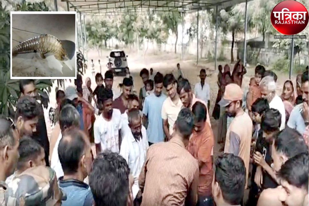 Watch Video : यहां अनोखे जानवर को देख ग्रामीणों में हड़कंप मच, रेंजर की बजती रही फोन की घंटियां, नहीं उठाया फोन