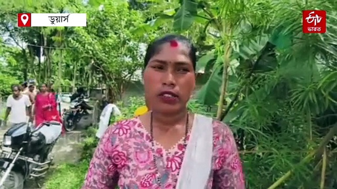 পুজোর আগে বন্ধ হয়ে গেল চা-বাগান, পথে বসলেন 1200...