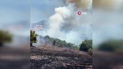 Balıkesir'de orman yangını: Tarlada başladı, ormana sıçradı