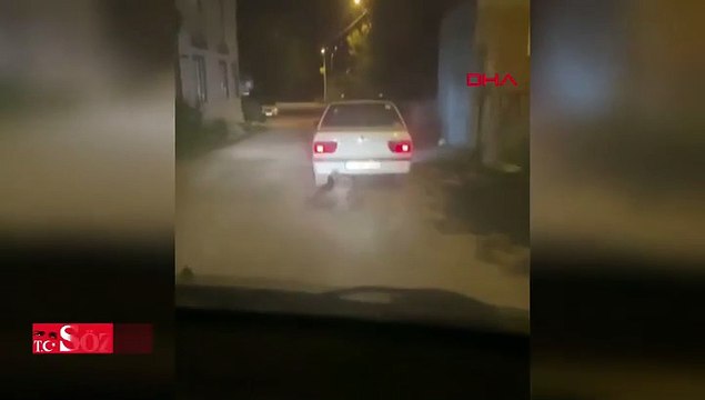 Yaban domuzunu otomobilin arkasına bağlayıp sürükledi