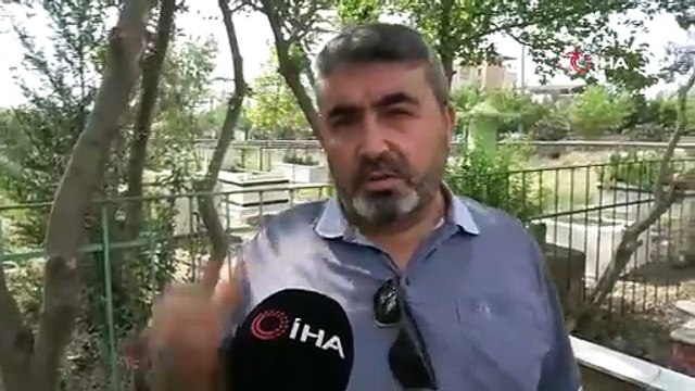 Mezar taşlarına zarar vermişlerdi: Nedeni ortaya çıktı!