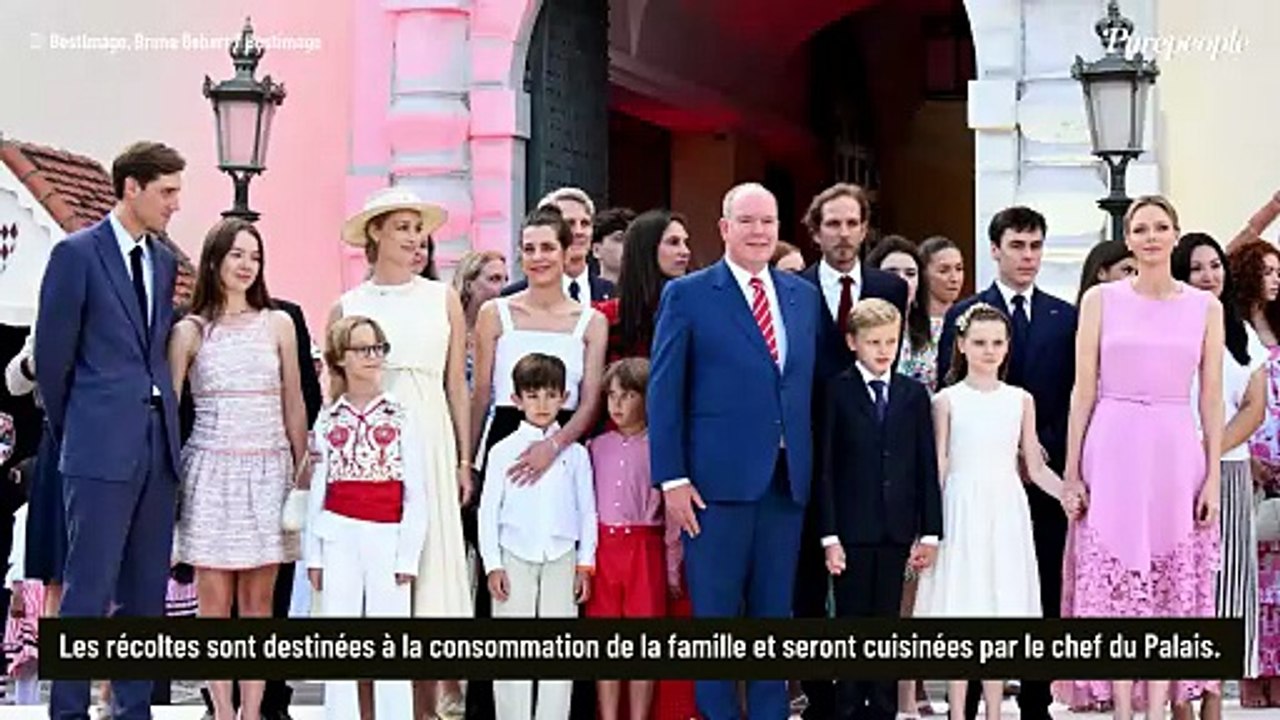 A Monaco, derrière les façades majestueuses du Palais princier, un espace méconnu vient de voir le jour et le prince Albert n'y est pas pour rien