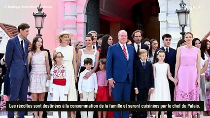 A Monaco, derrière les façades majestueuses du Palais princier, un espace méconnu vient de voir le jour et le prince Albert n'y est pas pour rien