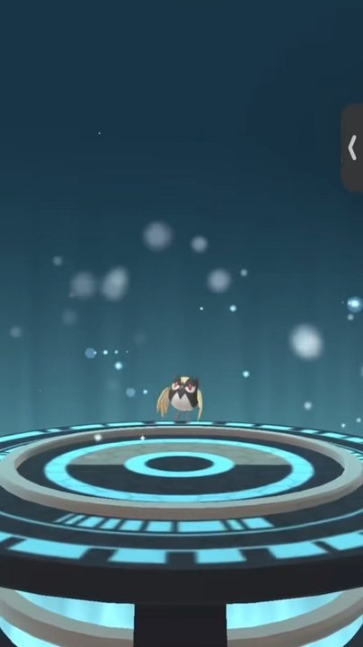 T’as eu ton shiny ?