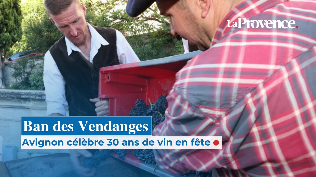 Ban des Vendanges : Avignon célèbre 30 ans de vin en fête