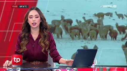 Cochabamba: nevada afecta 200 hectáreas de cultivos y ganado  en de Cocapata