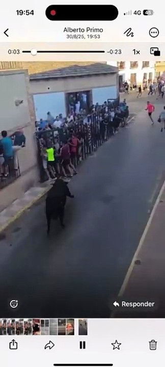 Cogida a un participante en el encierro de Fernán Caballero.