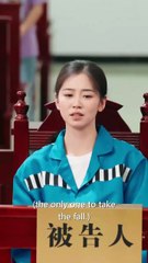 Perfect Alibi Chinese Drama